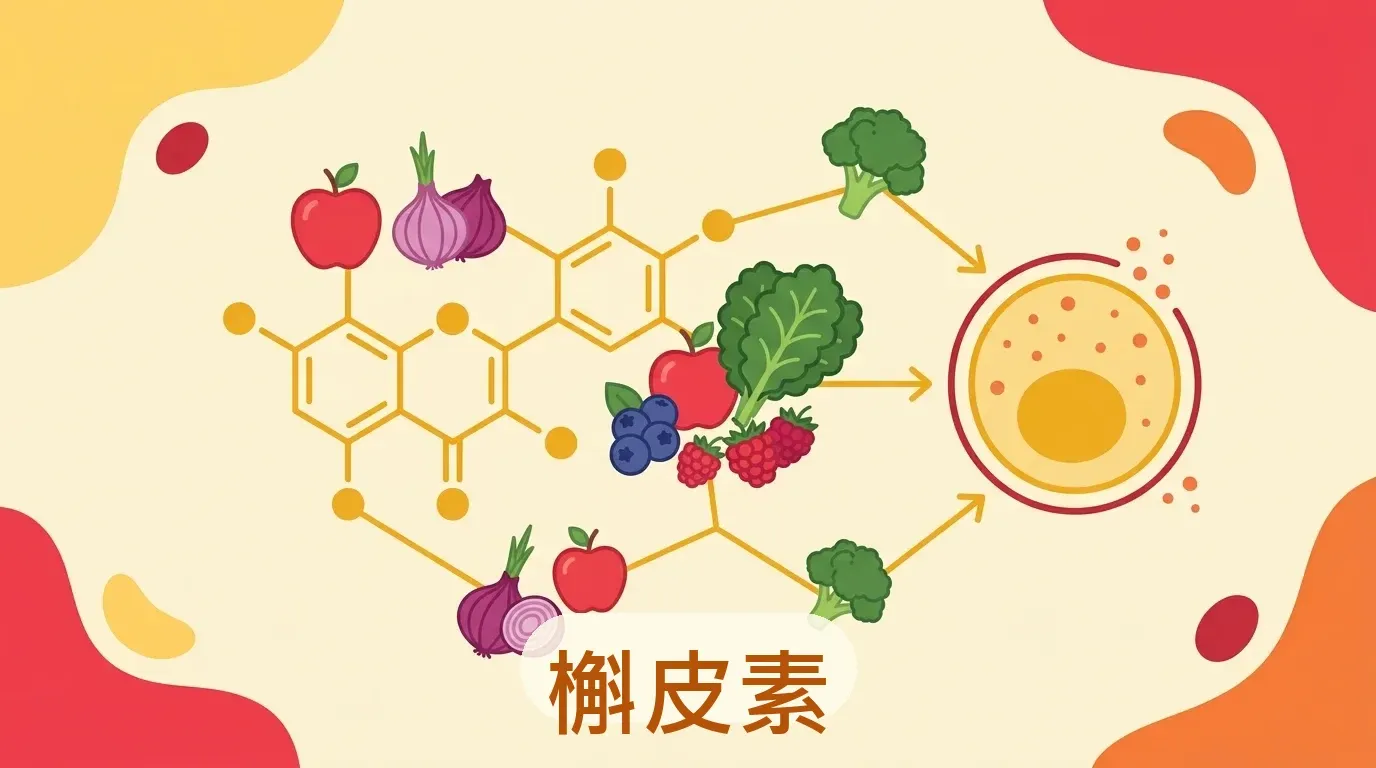 🟡 槲皮素（Quercetin）：COVID 有前景，過敏證據薄弱