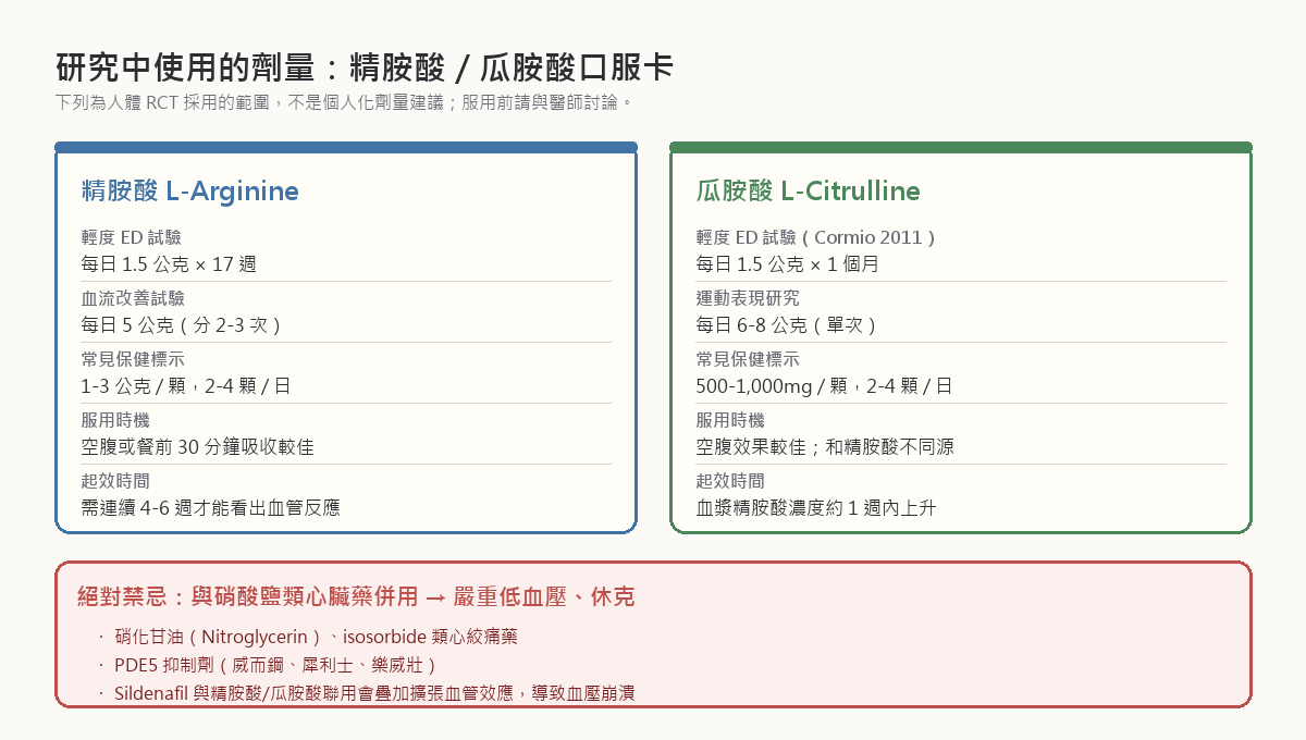 精胺酸與瓜胺酸研究中使用劑量參考卡：精胺酸輕度 ED 試驗每日 1.5 公克、瓜胺酸 Cormio 2011 試驗每日 1.5 公克；絕對禁忌包含與硝酸鹽類心臟藥併用、PDE5 抑制劑併用可能造成嚴重低血壓