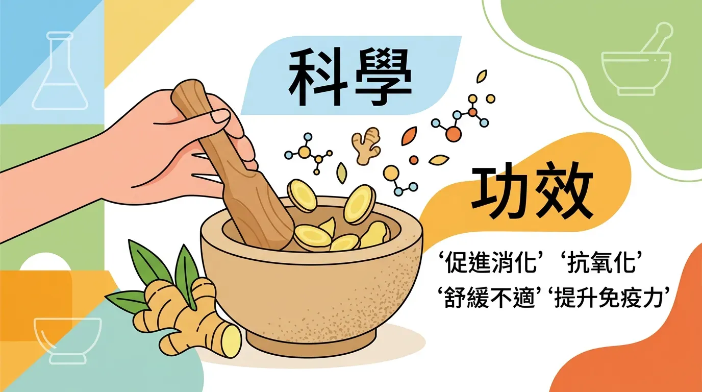 薑的科學實力：快速摘要