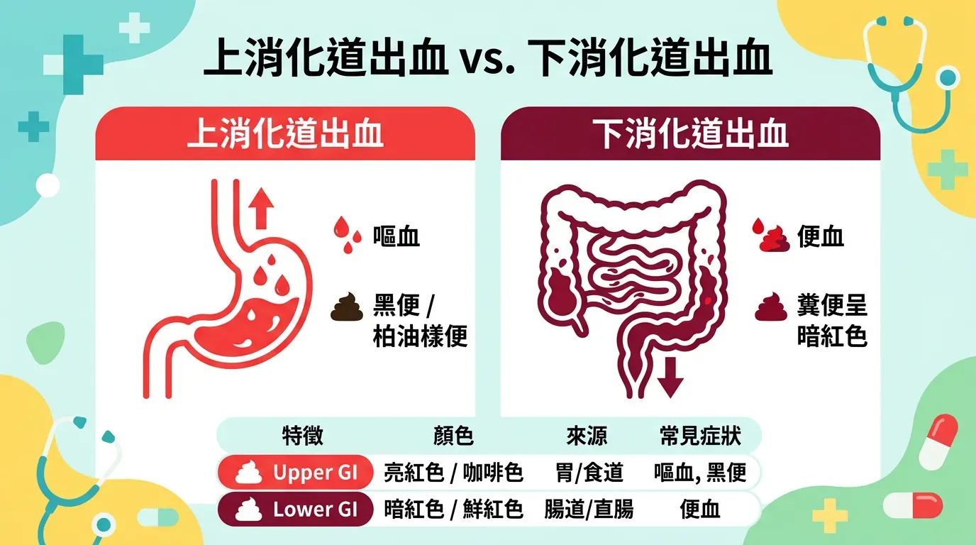 顏色是關鍵：上消化道 vs. 下消化道