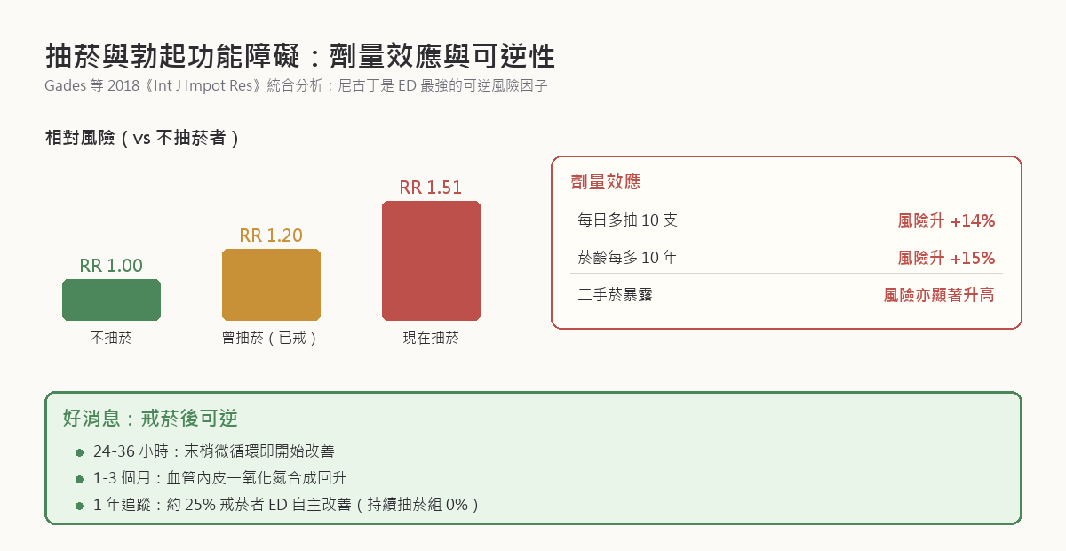 抽菸與勃起功能障礙的相對風險與劑量效應：現在抽菸者 RR 1.51、曾抽菸者 RR 1.20、不抽菸者為基準；每日多抽 10 支風險升 14%、菸齡每多 10 年升 15%；戒菸後 24-36 小時微循環改善、1 年追蹤約 25% 戒菸者勃起功能自主改善