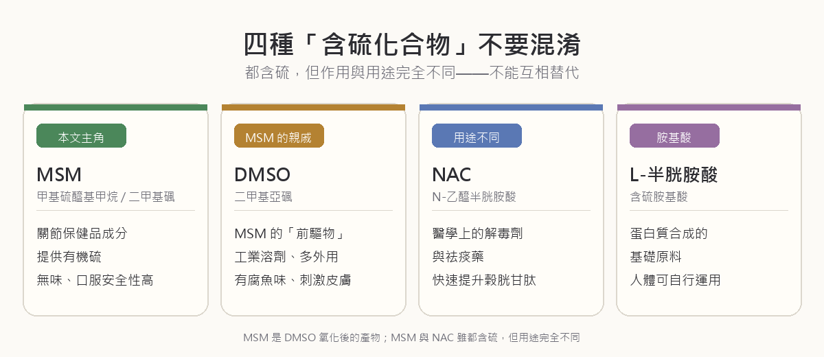 四種含硫化合物的差異對照圖：MSM（甲基硫醯基甲烷）是有機硫供體用於關節保健、DMSO（二甲基亞碸）是 MSM 的前驅物為工業溶劑、NAC（N-乙醯半胱胺酸）是解毒與祛痰藥、L-半胱胺酸是含硫胺基酸