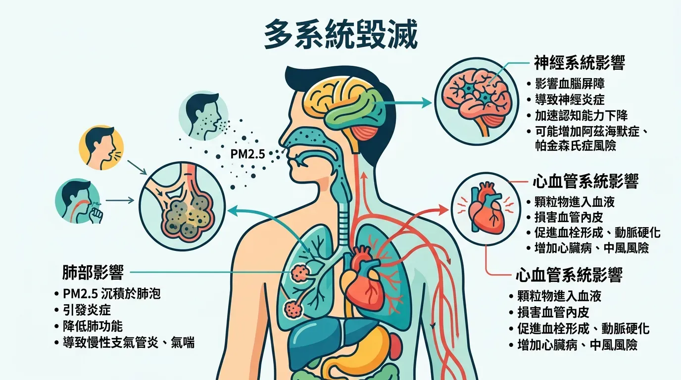 快速摘要：PM2.5 的多系統損害路徑