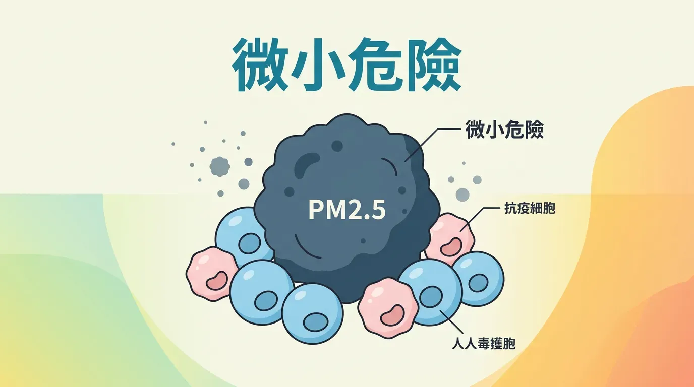 分子機制：為什麼「微小」代表「危險」？
