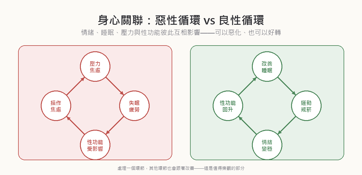 身心關聯惡性循環與良性循環示意圖：壓力焦慮導致失眠疲勞、進而影響性功能、再造成操作焦慮形成惡性循環；改善睡眠、運動戒菸、情緒變穩、性功能回升則形成良性循環