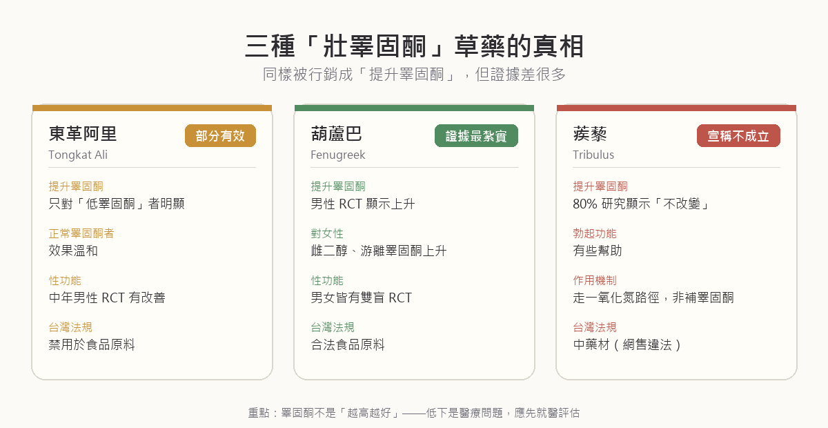 東革阿里、葫蘆巴、蒺藜三種草藥的證據對照：東革阿里對低睪固酮男性能提升睪固酮、對正常者溫和；葫蘆巴 RCT 證據最紮實、男女皆有；蒺藜提升睪固酮的宣稱不成立、但對勃起功能有些幫助走的是一氧化氮路徑