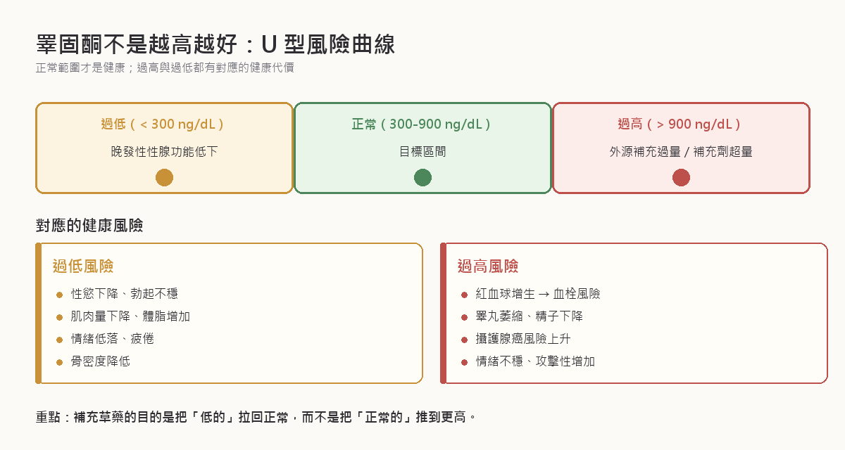 睪固酮 U 型風險曲線：過低小於 300 ng/dL 屬晚發性性腺功能低下、會有性慾下降肌肉量下降情緒低落骨密度降低；正常 300-900 ng/dL 是目標區間；過高大於 900 ng/dL 多源於外源補充過量、可能造成紅血球增生血栓風險、攝護腺癌風險上升、睪丸萎縮精子下降